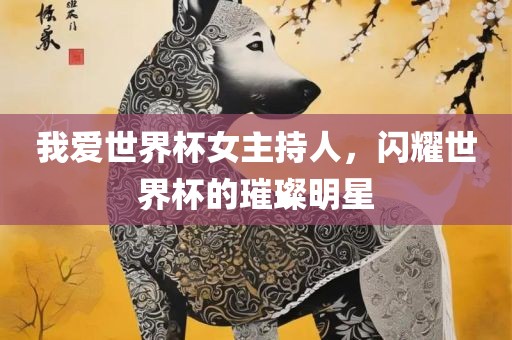 我爱世界杯女主持人，闪耀世界杯的璀璨明星