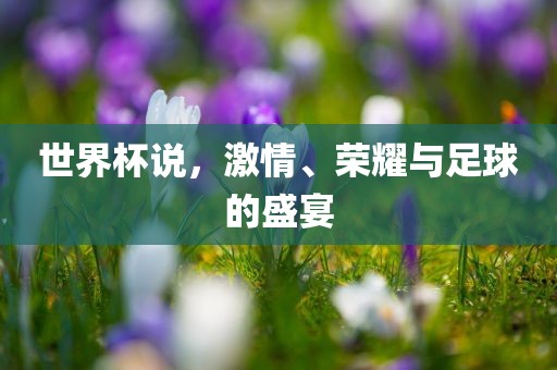 世界杯说，激情、荣耀与足球的盛宴漯河市盈旭机械设备有限公司