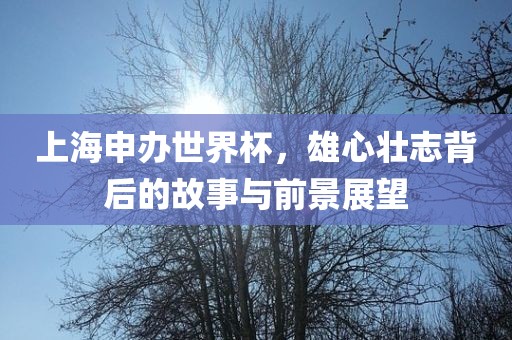 上海申办世界杯，雄心壮志背后的故事与前景展望