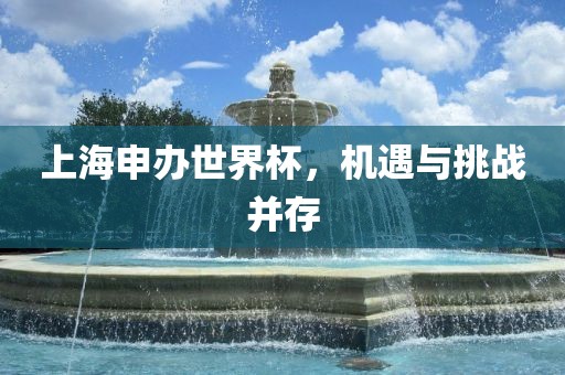 上海申办世界杯，机遇与挑战并存