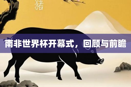 南非世界杯开幕式，回顾与前瞻