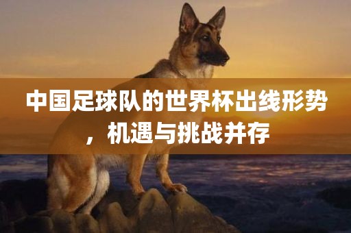 中国足球队的世界杯出线形势，机遇与挑战并存漯河市盈旭机械设备有限公司