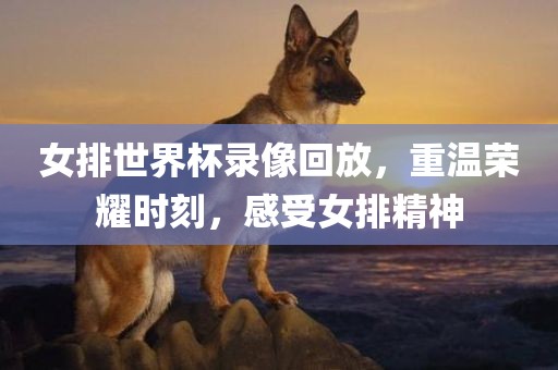 女排世界杯录像回放，重温荣耀时刻，感受女排精神
