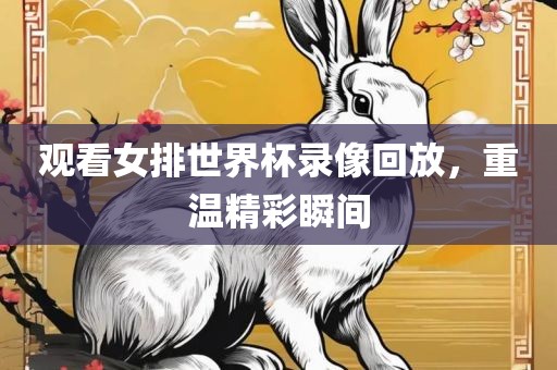 观看女排世界杯录像回放，重漯河市盈旭机械设备有限公司温精彩瞬间