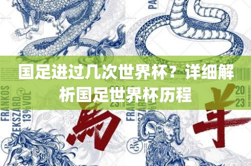 国足进过几次世界杯？详细解析国足世界杯历程漯河市盈旭机械设备有限公司