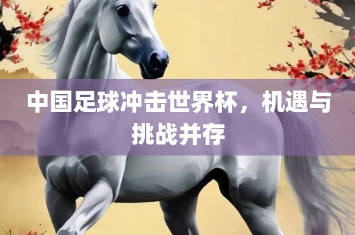 中国足球冲击世界杯，机遇与挑战并存漯河市盈旭机械设备有限公司