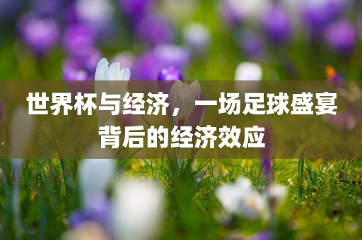 世界杯与经济，一场足球盛宴背后的经济效应