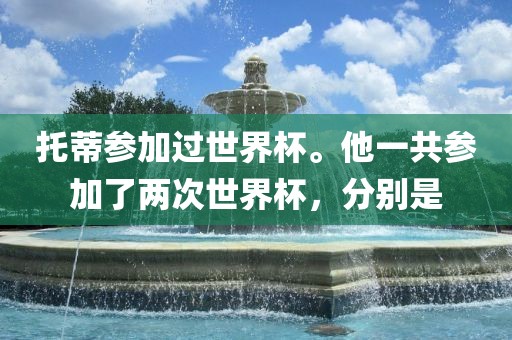 托蒂参加过世界杯。他一共参加了两次世界杯，分别是漯河市盈旭机械设备有限公司