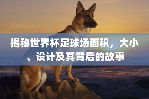 揭秘世界杯足球场面积，大小、设计及其背后的故事