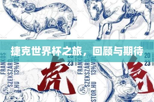 捷克世界杯之旅，回顾与期待