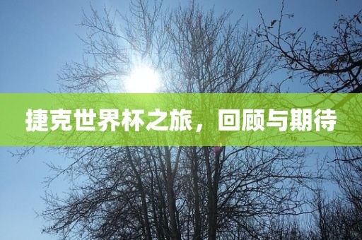 捷克世界杯之旅，回顾与期待漯河市盈旭机械设备有限公司