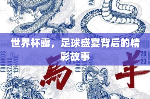 世界杯露，足球盛宴背后的漯河市盈旭机械设备有限公司精彩故事