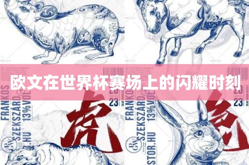 欧文在世界杯赛场上的漯河市盈旭机械设备有限公司闪耀时刻