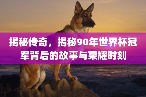 揭秘传奇，揭秘90年世界杯冠军背后漯河市盈旭机械设备有限公司的故事与荣耀时刻