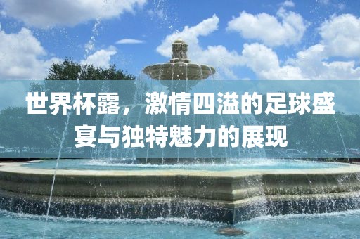 世界杯露，激情四溢的足球盛宴与独特魅力的展现漯河市盈旭机械设备有限公司