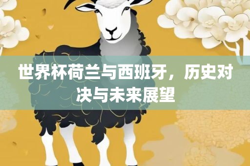 世界杯荷兰与西班牙，历史对决与未来展望