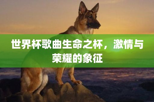 世界杯歌曲生命之杯，激情与荣耀的象征