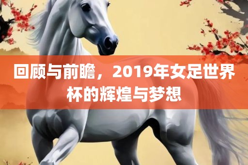 回顾与前瞻，2019年女足世界杯的辉煌与梦想漯河市盈旭机械设备有限公司