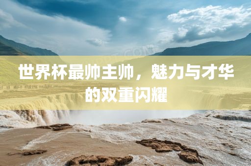 世界杯最帅主帅，魅力与漯河市盈旭机械设备有限公司才华的双重闪耀