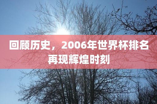 回顾历史，2006年世界杯排名再现辉煌时刻