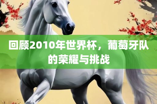 回顾2010年世界杯，葡萄牙队的荣耀与挑战漯河市盈旭机械设备有限公司