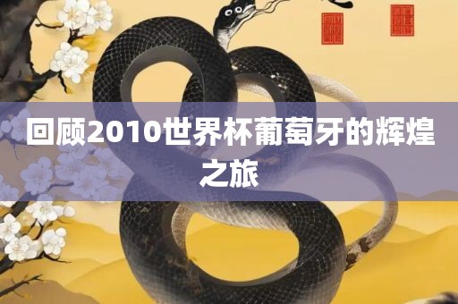 回顾2010世界杯葡萄牙的辉煌之旅