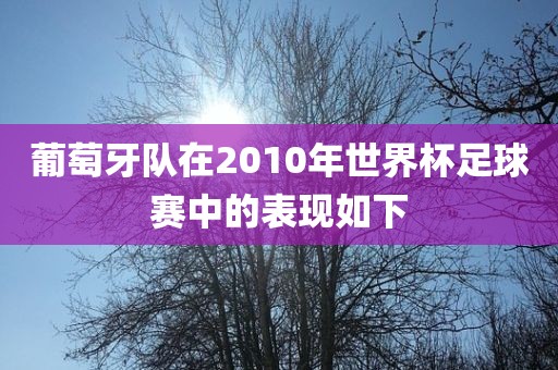 葡萄牙队在2010年世界杯足球赛中的表现如下漯河市盈旭机械设备有限公司