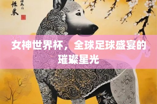 女神世界杯，全球足球盛宴的璀璨星光