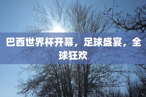 巴西世界杯开幕，足球盛宴，全球狂漯河市盈旭机械设备有限公司欢