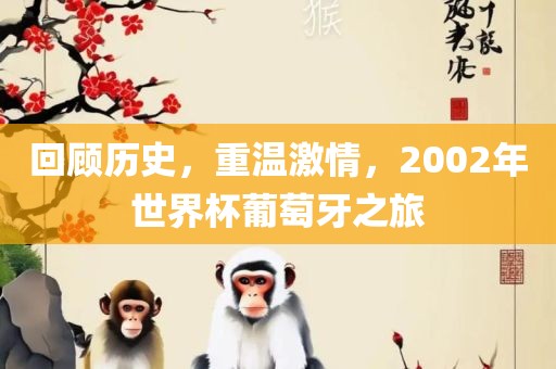 回顾历史，重温激情，2002年世界杯葡萄牙之旅