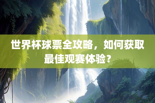 世界杯球票全攻略，如何获取最佳观赛体验？