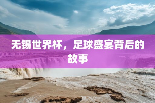 无锡世界杯，足球盛宴背后的故事漯河市盈旭机械设备有限公司