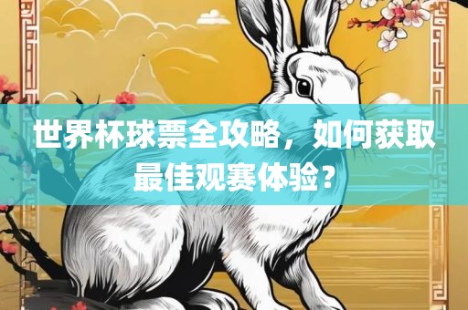 世界杯球票全攻略，如何获取最佳观赛体验？漯河市盈旭机械设备有限公司