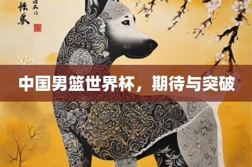 中国男篮世界杯，期待与突破
