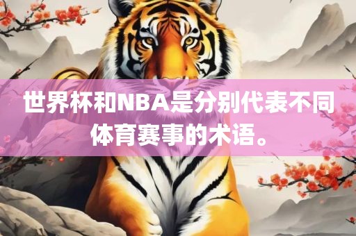 世界杯和NBA是分别代表不同体育赛事的术语。