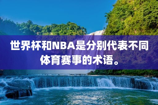 世界杯和NBA是分别代表不同体育赛事的术语。