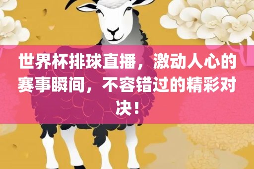 世界杯排球直播，激动人心的赛事瞬间，不容错过的精彩对决！漯河市盈旭机械设备有限公司