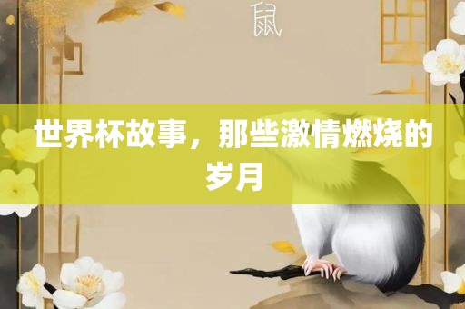 世界杯故事，那些激情燃烧的岁漯河市盈旭机械设备有限公司月