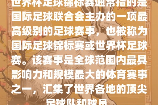 国际足球联合会