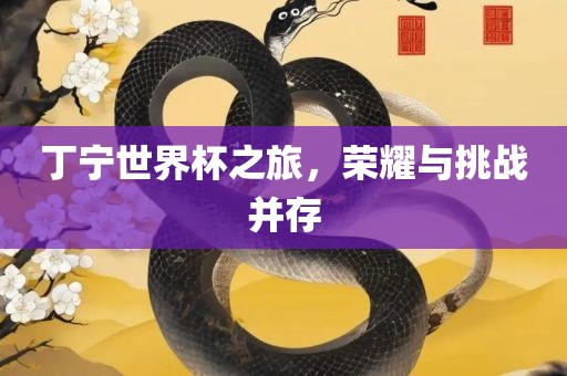 丁宁世界杯之旅，荣耀与挑战并存漯河市盈旭机械设备有限公司