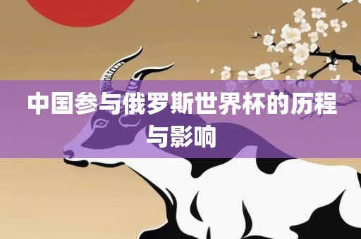 中国参与俄罗斯世界杯的历程与影响