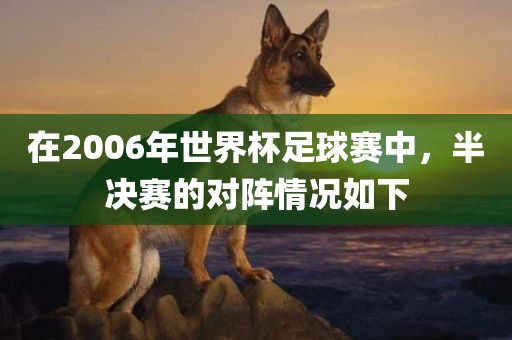 在2006年世界杯足球赛中，半决赛的对阵情况如下