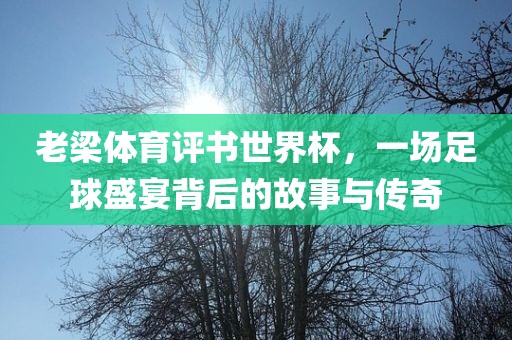 老梁体育评书世界杯，一场足球盛宴背后的故事与传奇