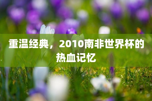 重温经典，2010南非世界杯的热血记忆