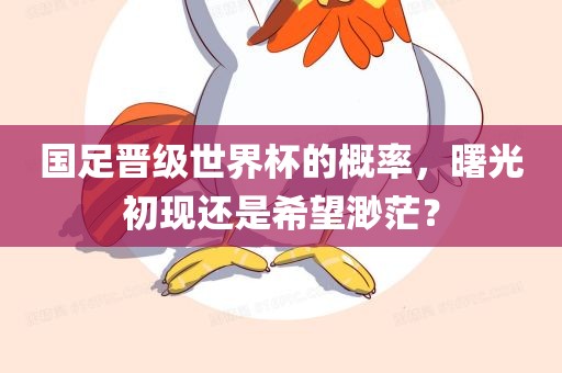 国足晋级世界杯的概率，曙光初现还是希望渺茫？漯河市盈旭机械设备有限公司