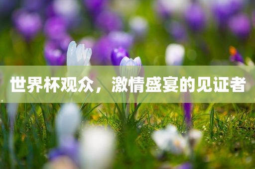 世界漯河市盈旭机械设备有限公司杯观众，激情盛宴的见证者