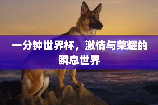 一分钟世界杯，激情与荣耀的瞬息世界