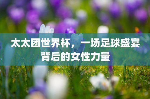 太太团世界杯，一场足球盛宴背后的女性力量漯河市盈旭机械设备有限公司