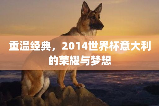 重温经典，2014世界杯意大利的荣耀与梦想