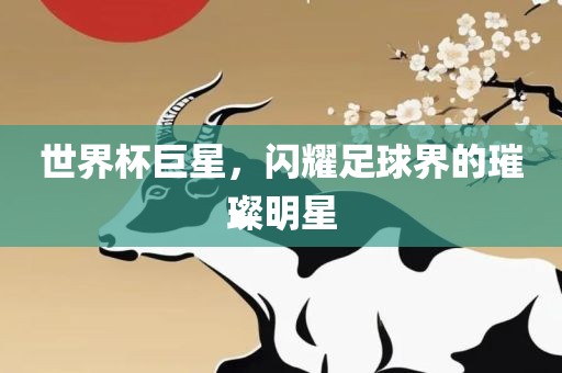 世界杯巨星，闪耀足球界的璀璨明星